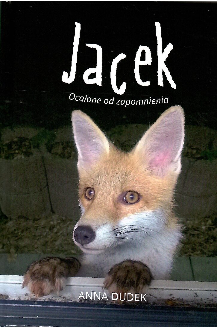 Jacek